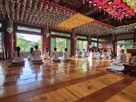 Templestay participants in white temple clothes sitting on cushions for group meditation in a wooden hall hung with lotus lanterns